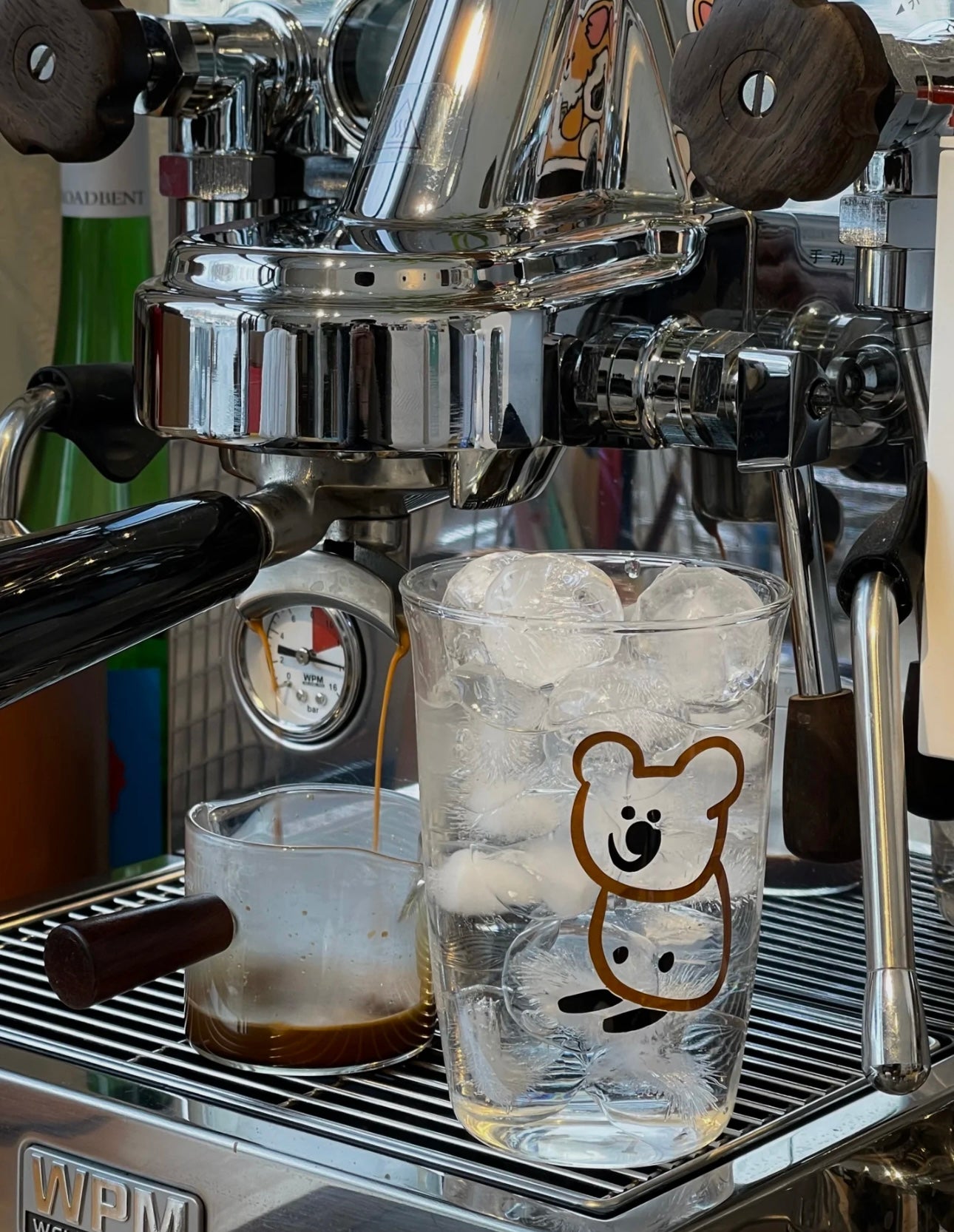 Koala Glass Cup